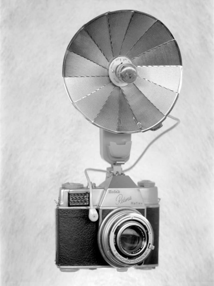 Retro Point and Shoot - 17 art print by Alan Blaustein for $57.95 CAD