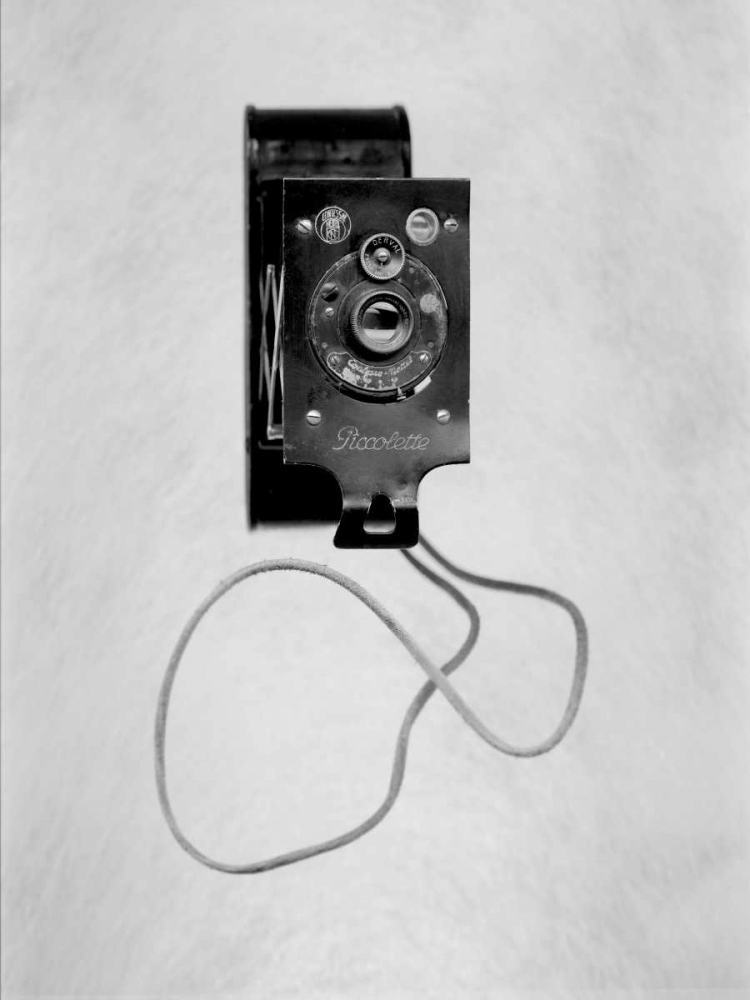 Retro Point and Shoot - 21 art print by Alan Blaustein for $57.95 CAD