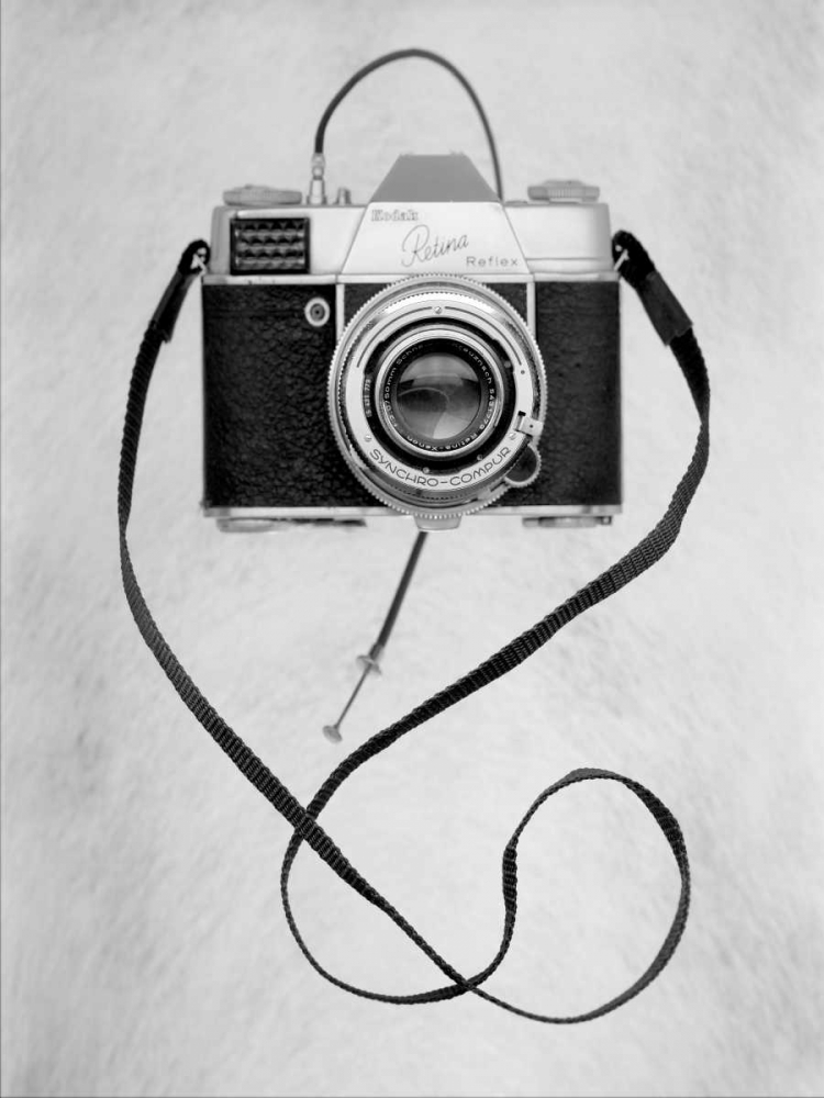 Retro Point and Shoot - 28 art print by Alan Blaustein for $57.95 CAD