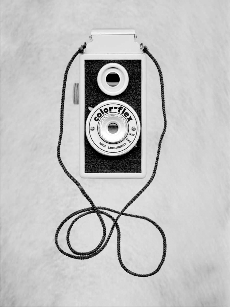 Retro Point and Shoot - 29 art print by Alan Blaustein for $57.95 CAD