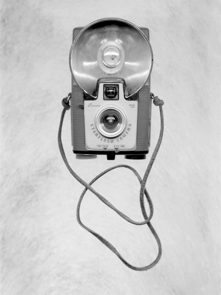 Retro Point and Shoot - 30 art print by Alan Blaustein for $57.95 CAD