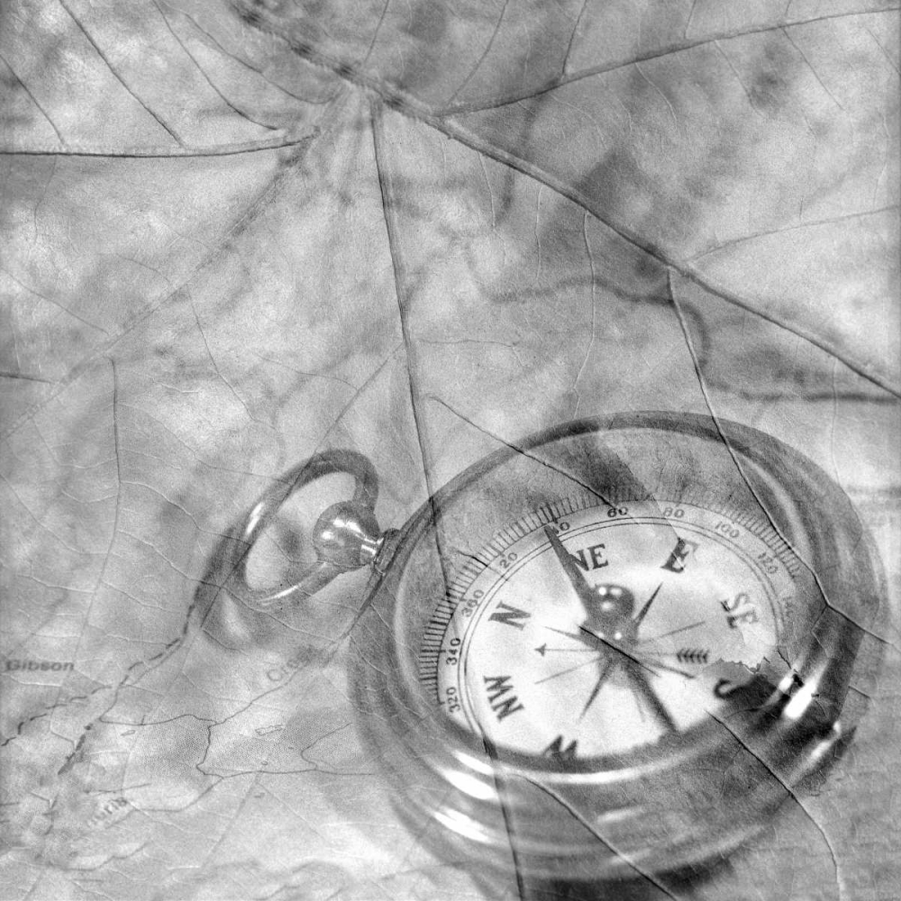 Retro- Compass art print by Alan Blaustein for $57.95 CAD