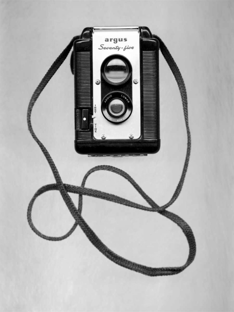 Retro Point and Shoot - 1 art print by Alan Blaustein for $57.95 CAD