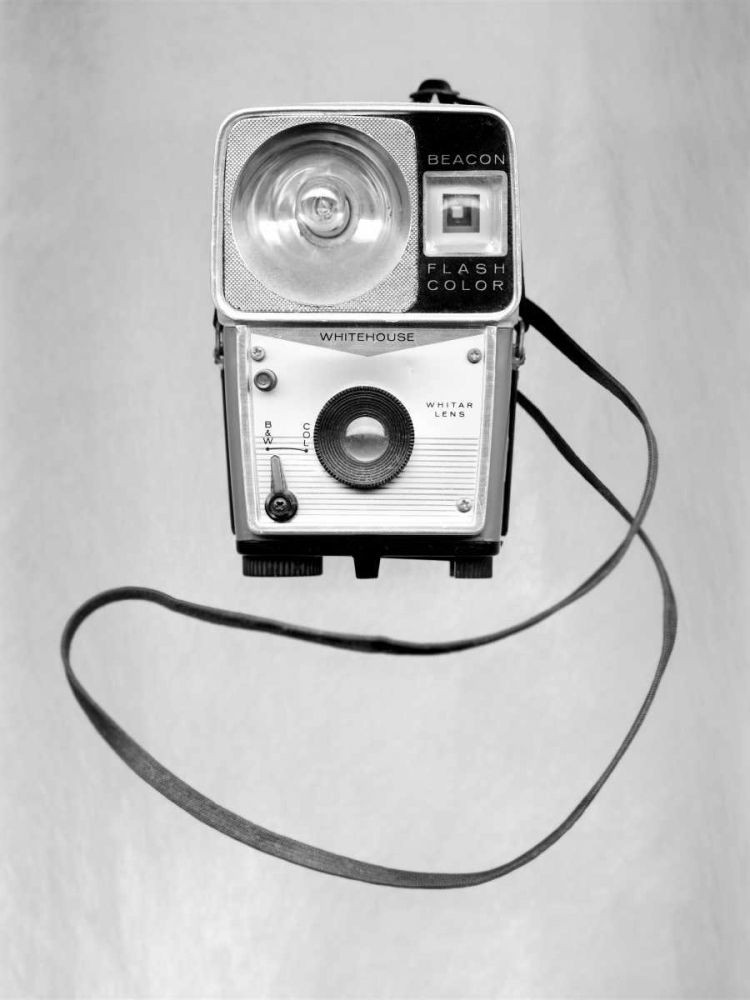 Retro Point and Shoot - 2 art print by Alan Blaustein for $57.95 CAD