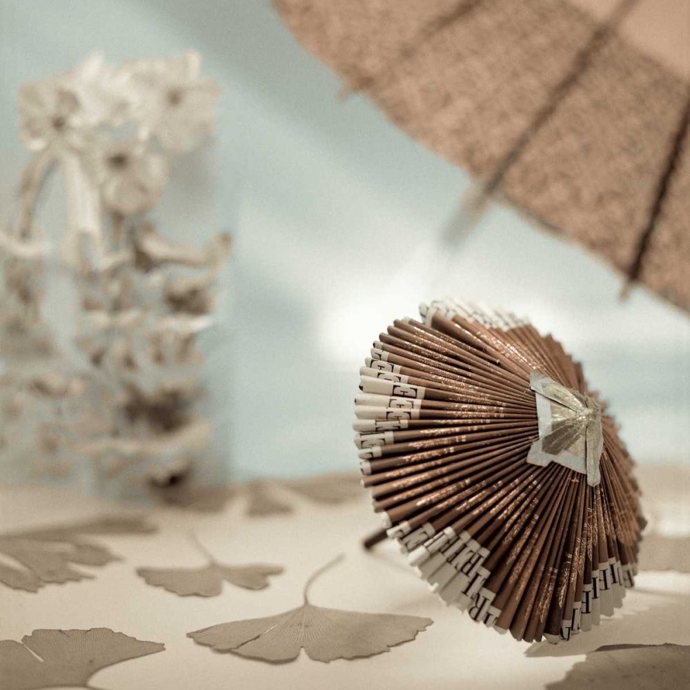Parasol and Gingko - 1 art print by Alan Blaustein for $57.95 CAD