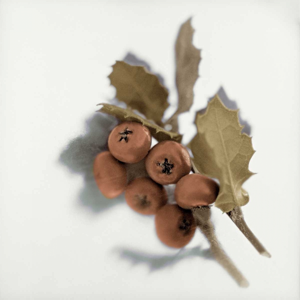 Holiday - 6 art print by Alan Blaustein for $57.95 CAD