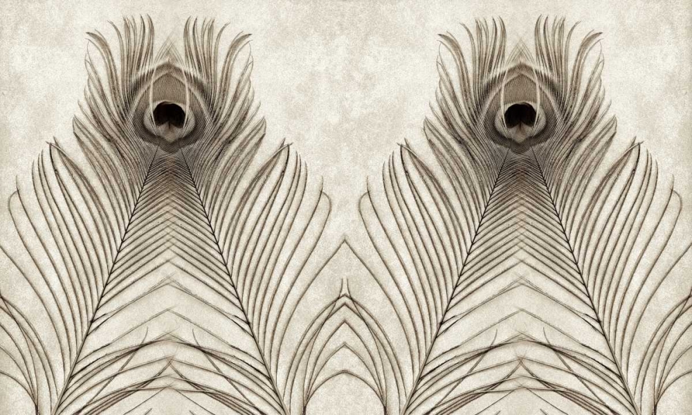 Feathers Panel - 5 art print by Alan Blaustein for $57.95 CAD