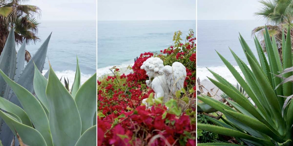 Laguna Coast - 1 art print by Alan Blaustein for $57.95 CAD