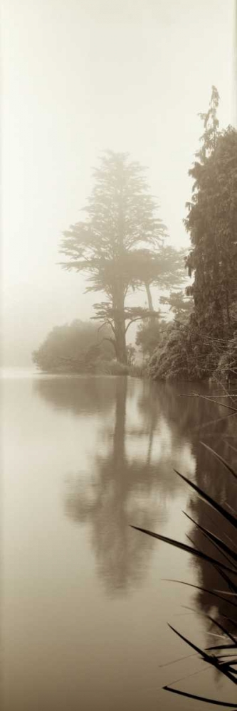 Lakeside Tree - 2 art print by Alan Blaustein for $57.95 CAD
