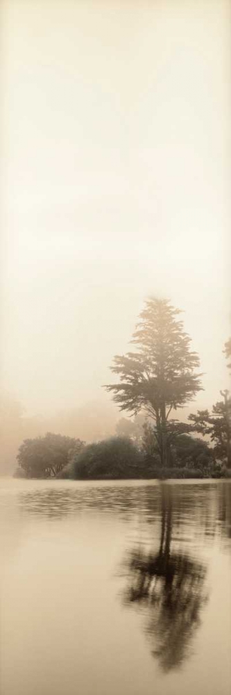 Lakeside Tree - 1 art print by Alan Blaustein for $57.95 CAD