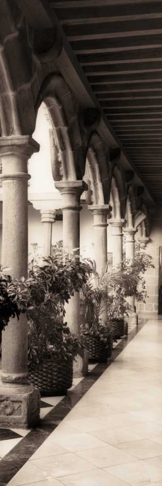 Palacio de Valdespino art print by Alan Blaustein for $57.95 CAD