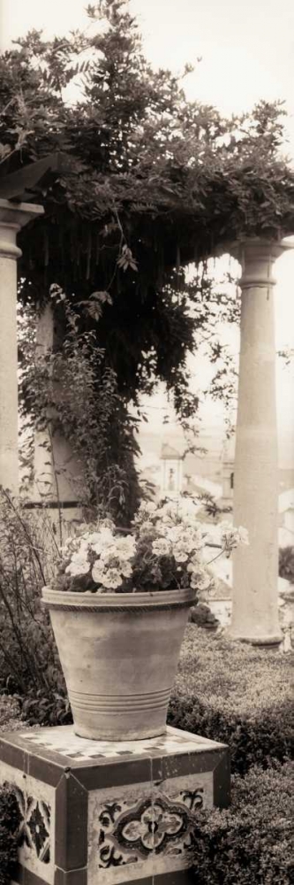 Jardin Botanico art print by Alan Blaustein for $57.95 CAD