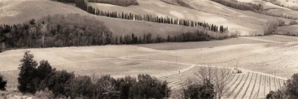 San Gimignano Italia art print by Alan Blaustein for $57.95 CAD