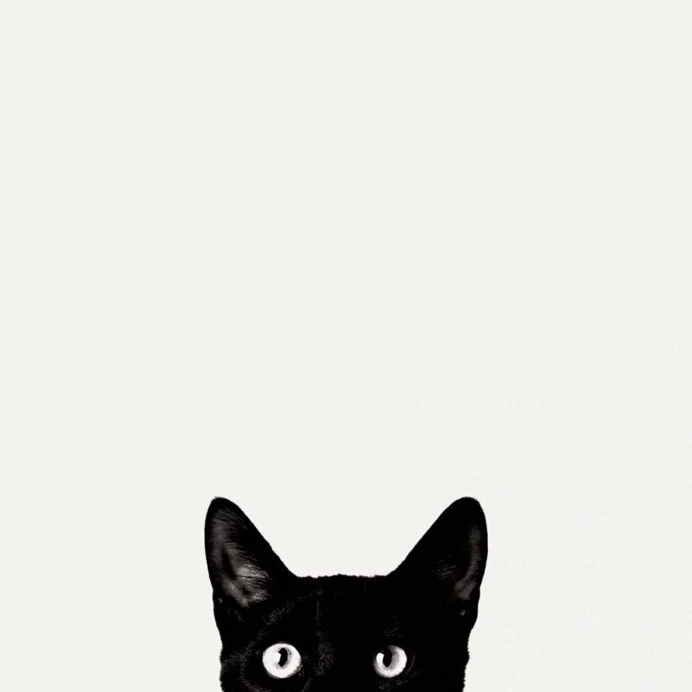 Curiosity art print by Jon Bertelli for $57.95 CAD
