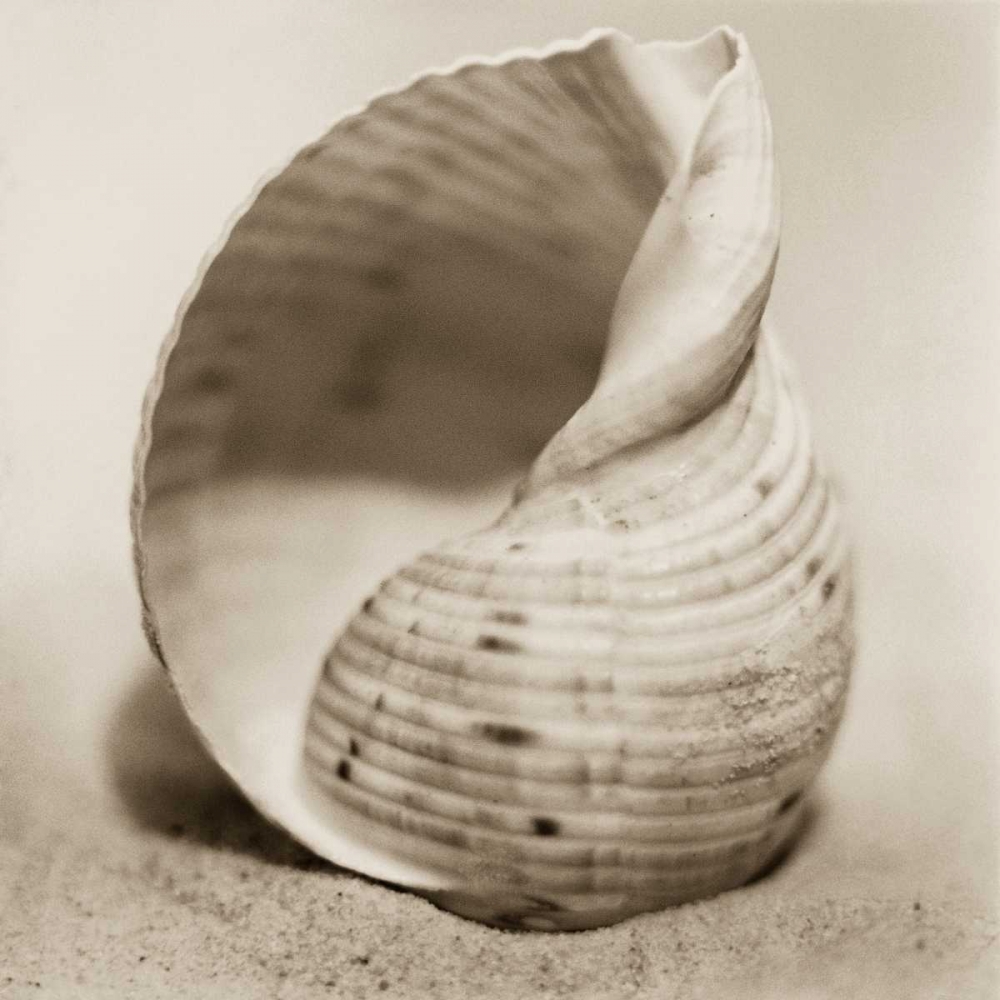 La Playa No4 art print by Alan Blaustein for $57.95 CAD
