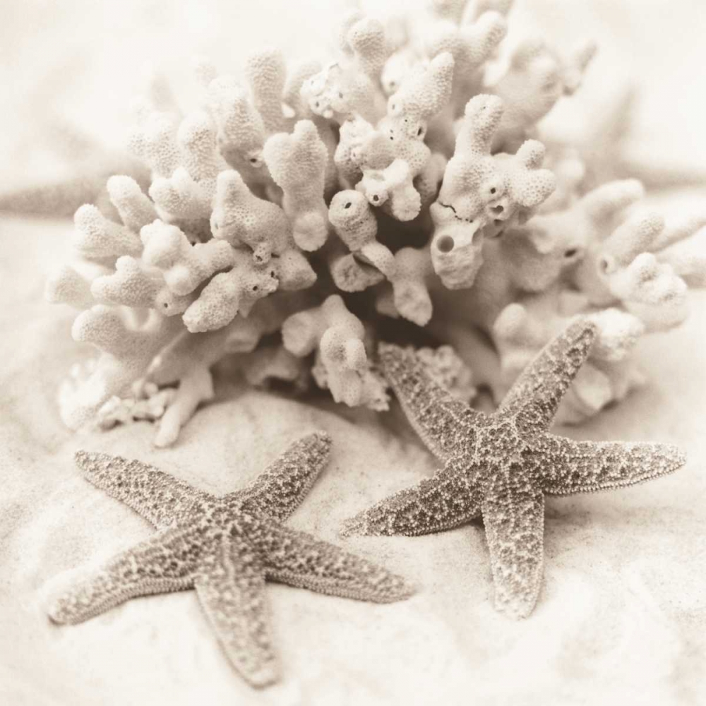 La Mer 1 art print by Alan Blaustein for $57.95 CAD