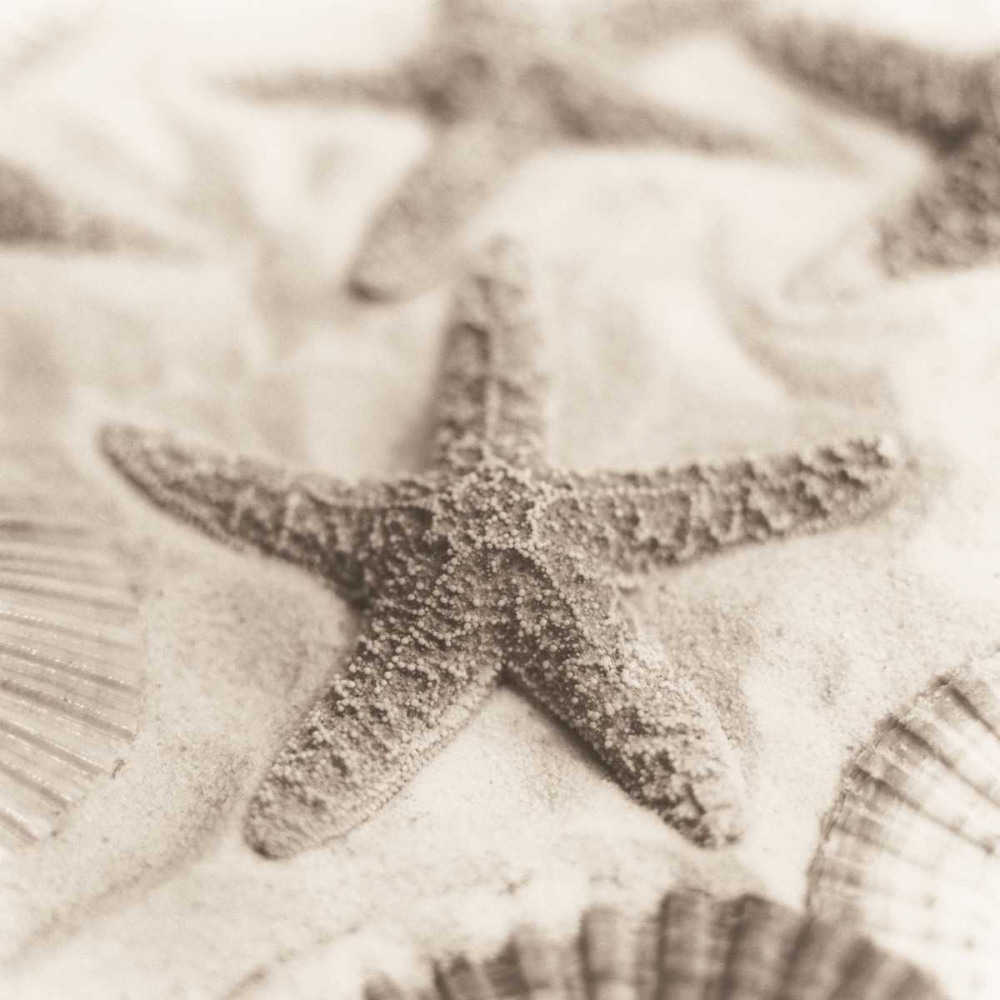 La Mer 2 art print by Alan Blaustein for $57.95 CAD