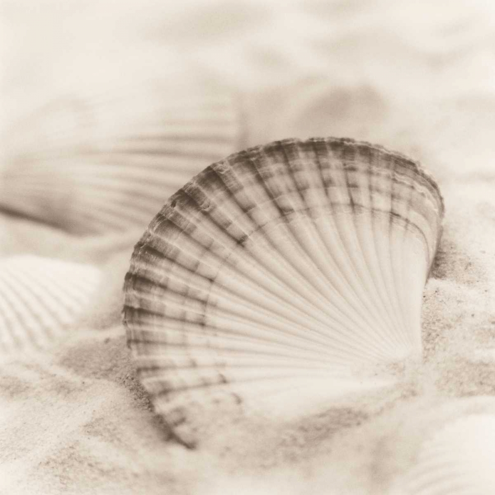 La Mer 3 art print by Alan Blaustein for $57.95 CAD