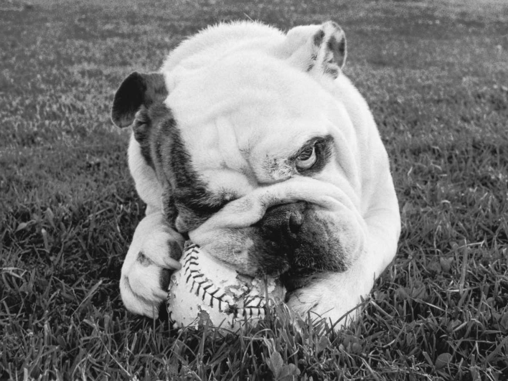 Obsess art print by Sharon Beals for $57.95 CAD