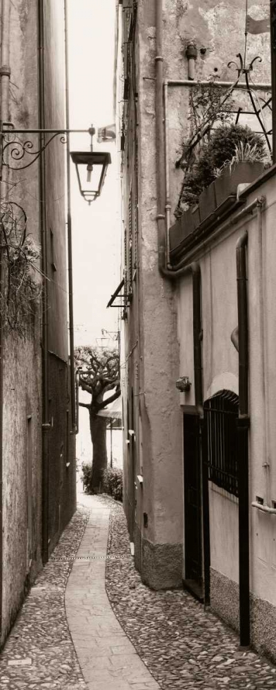La Strada Portofino art print by Alan Blaustein for $57.95 CAD
