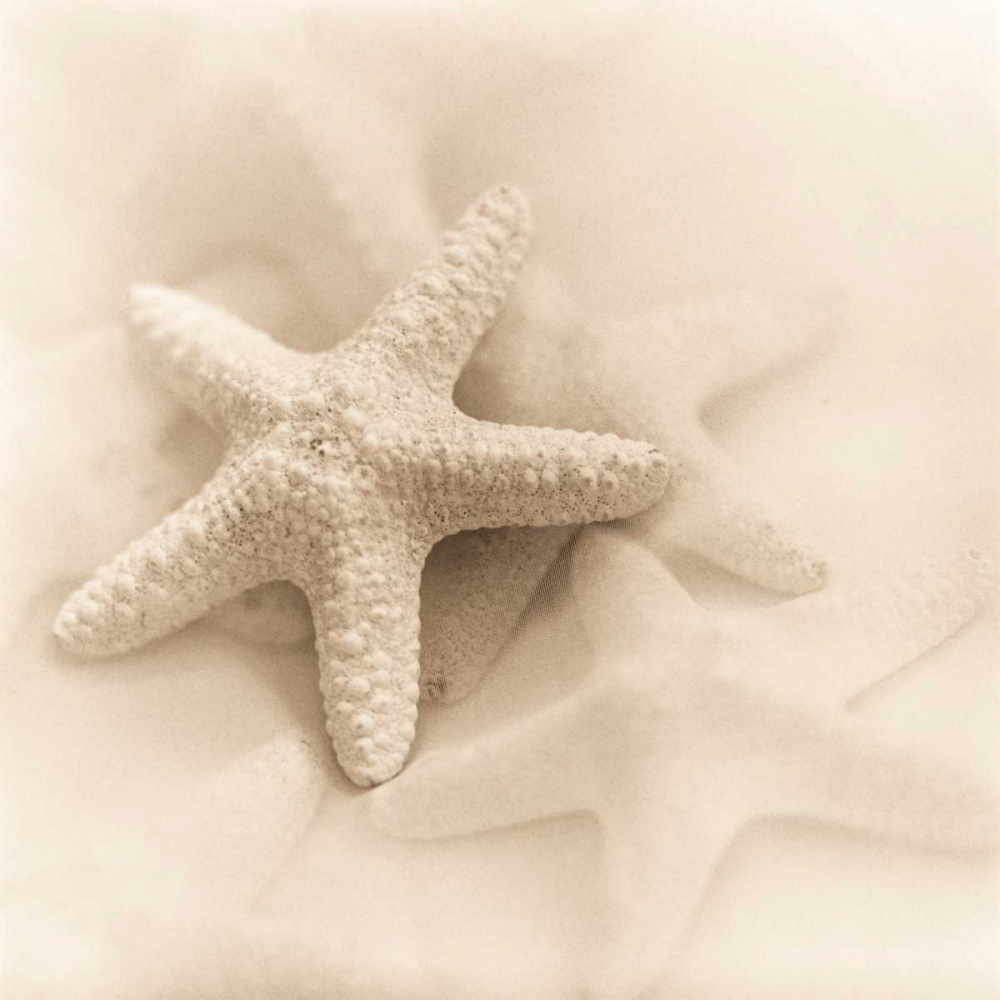 Il Oceano No. 1 art print by Alan Blaustein for $57.95 CAD