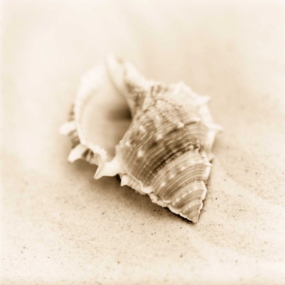 Il Oceano No. 3 art print by Alan Blaustein for $57.95 CAD
