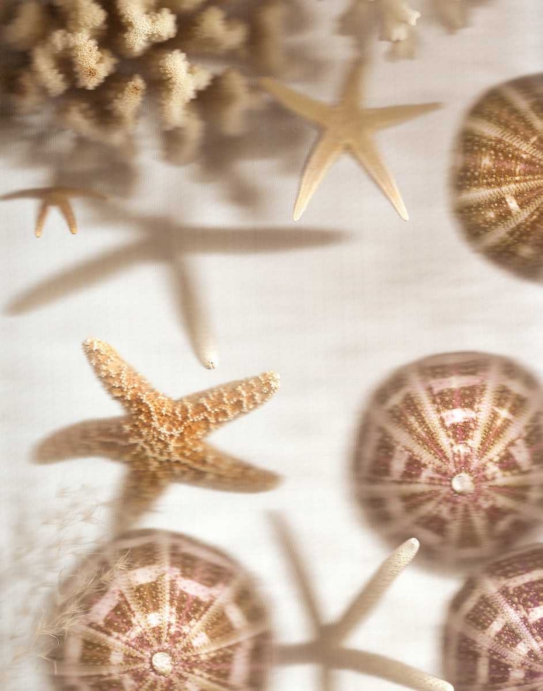 Nautical Illuminations No.3 art print by Alan Blaustein for $57.95 CAD