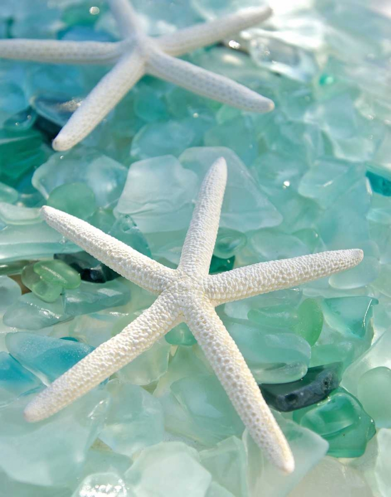 Seaglass 1 art print by Alan Blaustein for $57.95 CAD