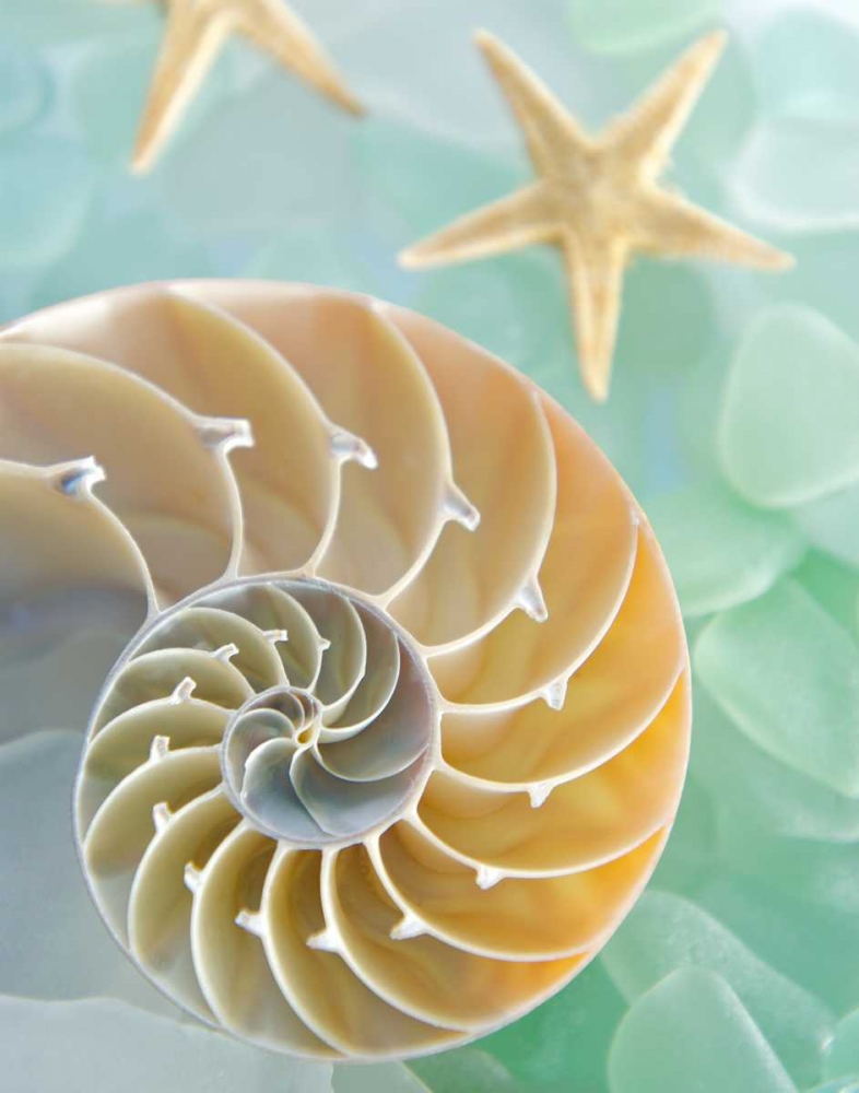 Seaglass 2 art print by Alan Blaustein for $57.95 CAD