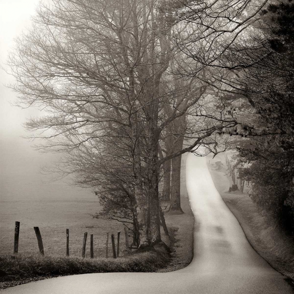 Cades Cove art print by Nicholas Bell for $57.95 CAD