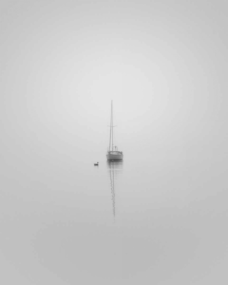 Companions art print by Nicholas Bell for $57.95 CAD