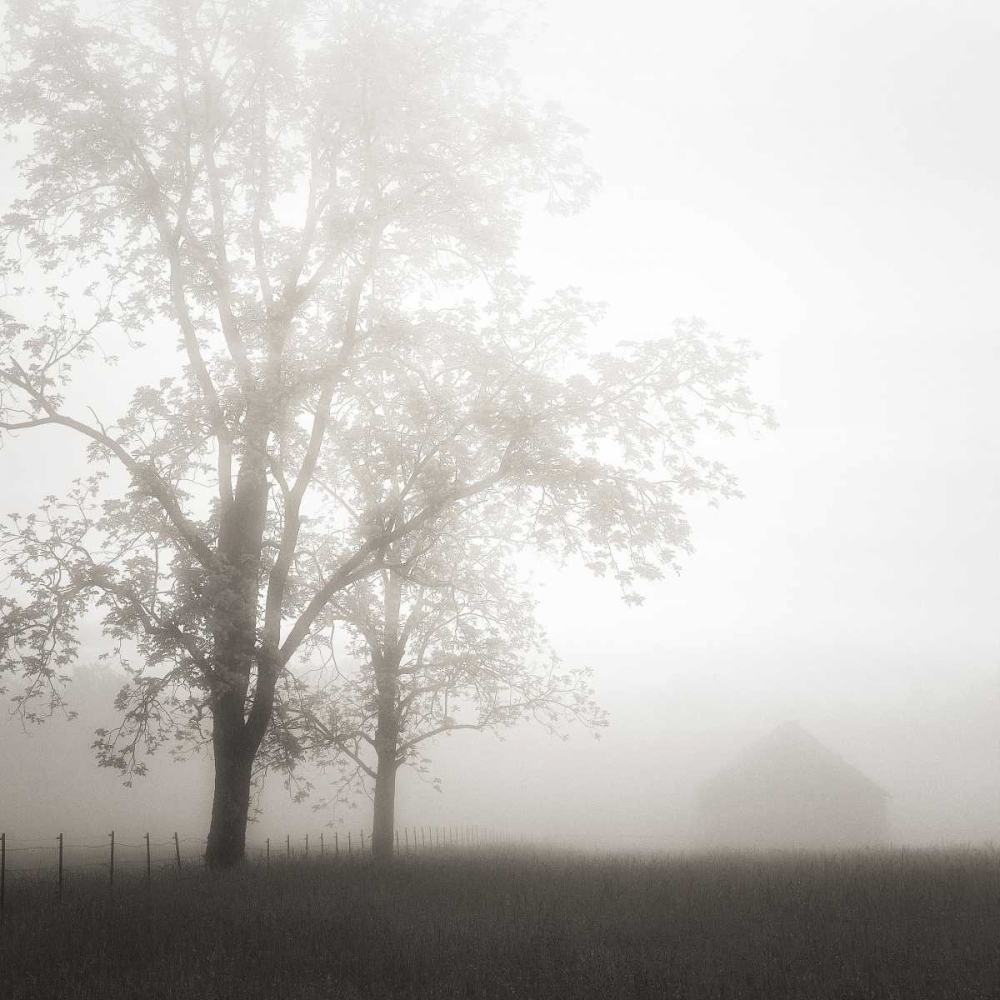 Farmland Appalachia 2013 art print by Nicholas Bell for $57.95 CAD