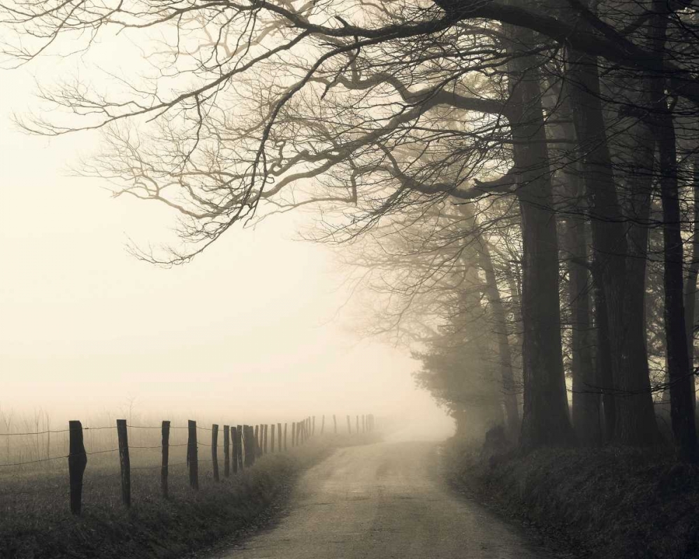 Hyatt Lane art print by Nicholas Bell for $57.95 CAD