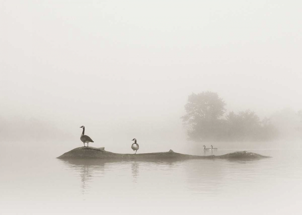 Melton Lake art print by Nicholas Bell for $57.95 CAD