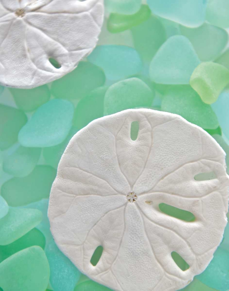Seaglass 5 art print by Alan Blaustein for $57.95 CAD