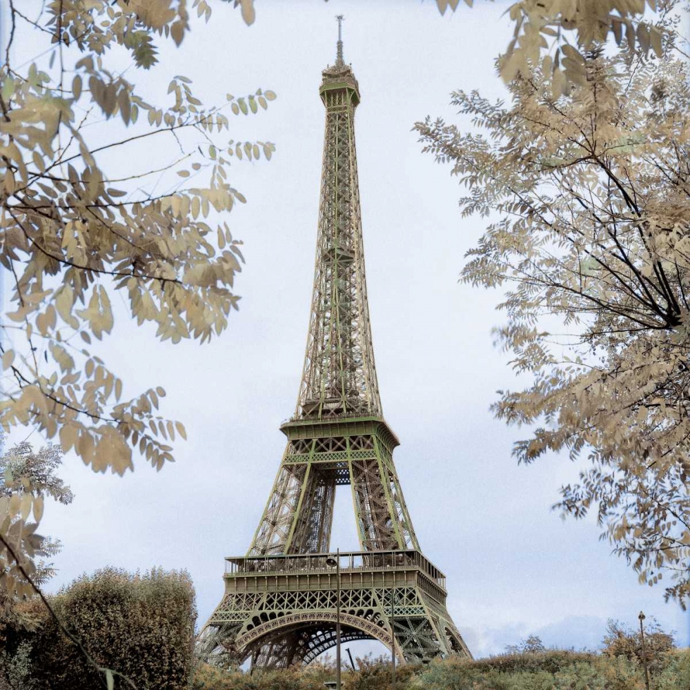 Tour Eiffel au Printemps art print by Alan Blaustein for $57.95 CAD