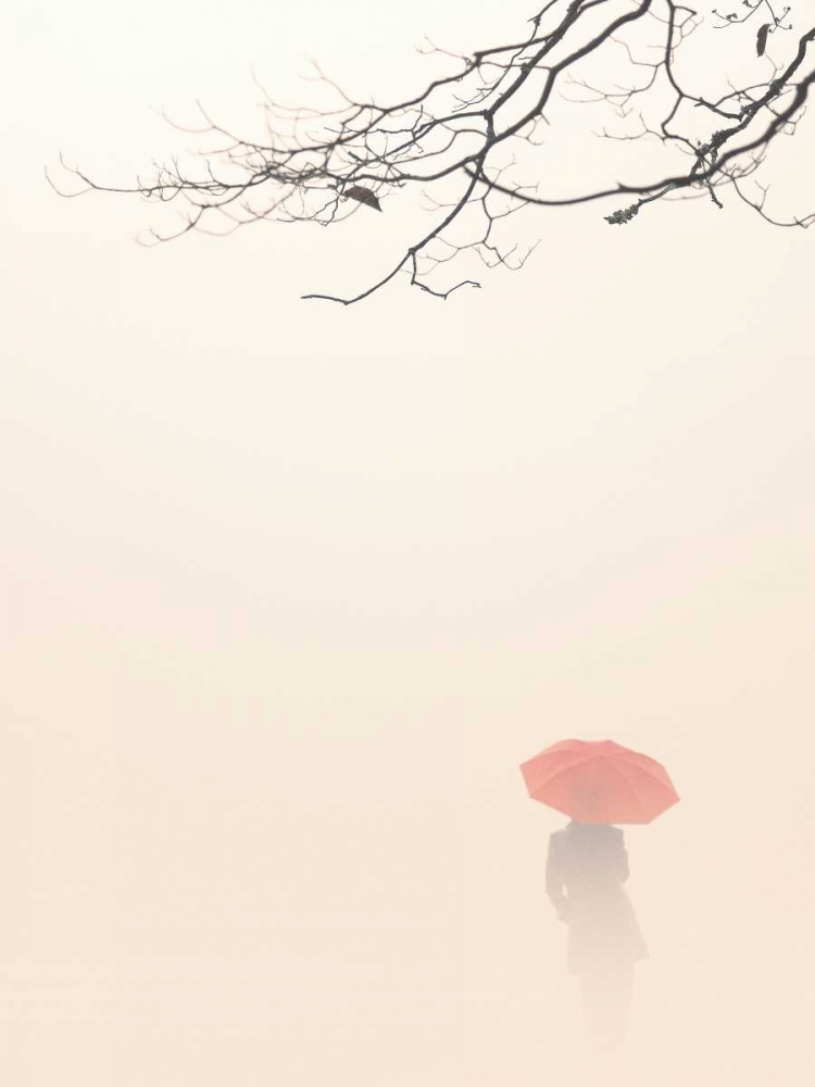 In Autumn Fog art print by Nicholas Bell for $57.95 CAD