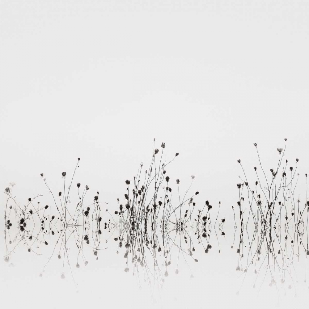 Reflections art print by Nicholas Bell for $57.95 CAD