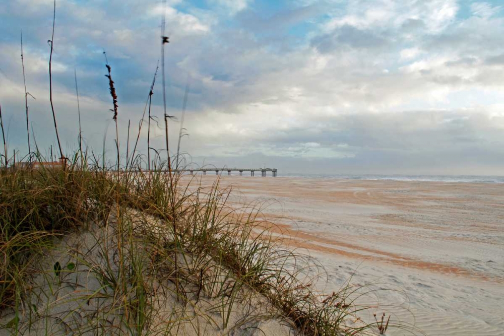 Sand Dunes I art print by Chuck Burdick for $57.95 CAD