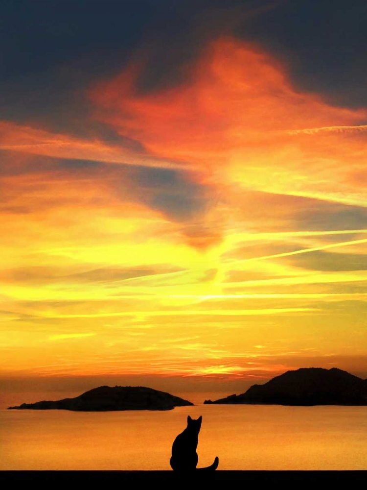 Contemplation art print by Jon Bertelli for $57.95 CAD
