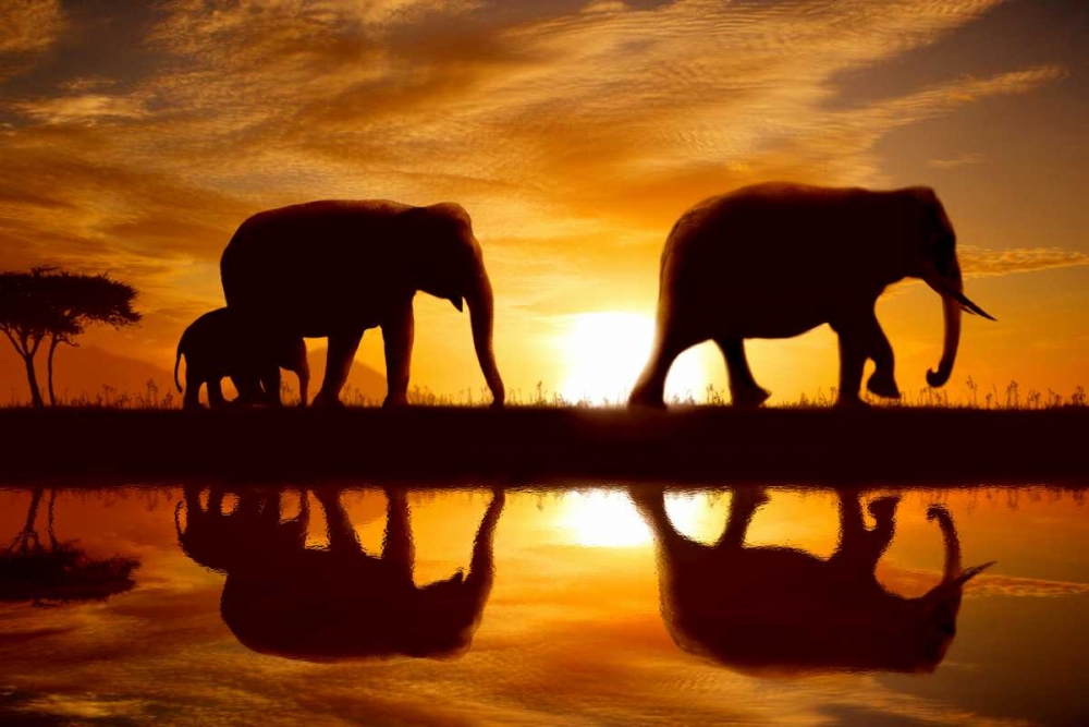 Sunset Walk art print by Noah Bay for $57.95 CAD