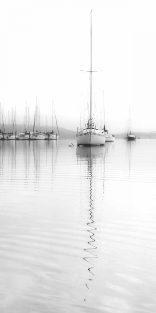 Nautical No. 5 art print by Nicholas Bell for $57.95 CAD
