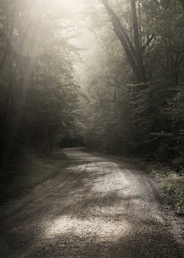 Back Country Road art print by Nicholas Bell for $57.95 CAD