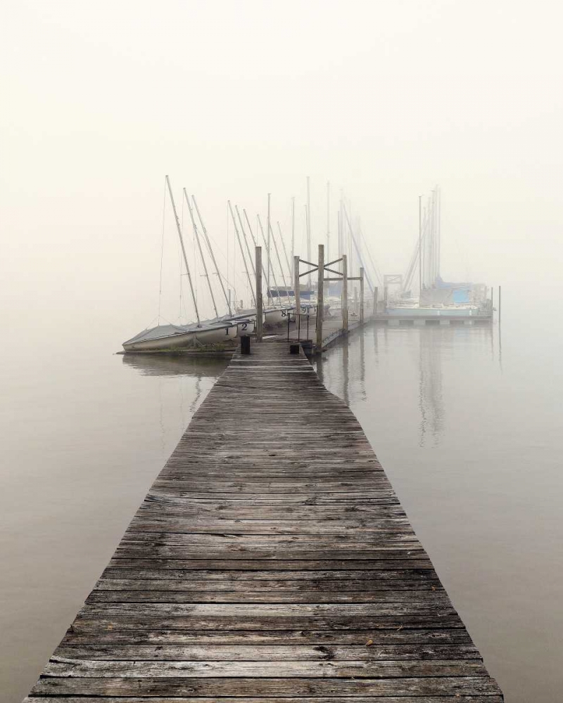 Harbor Fog art print by Nicholas Bell for $57.95 CAD
