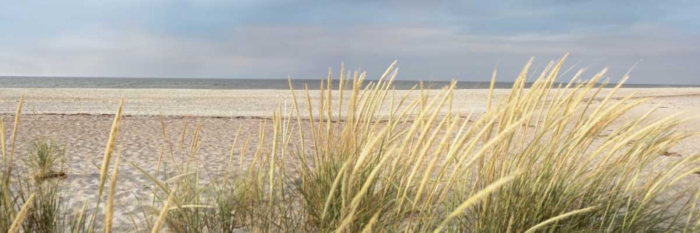 Island Sand Dunes art print by Alan Blaustein for $57.95 CAD