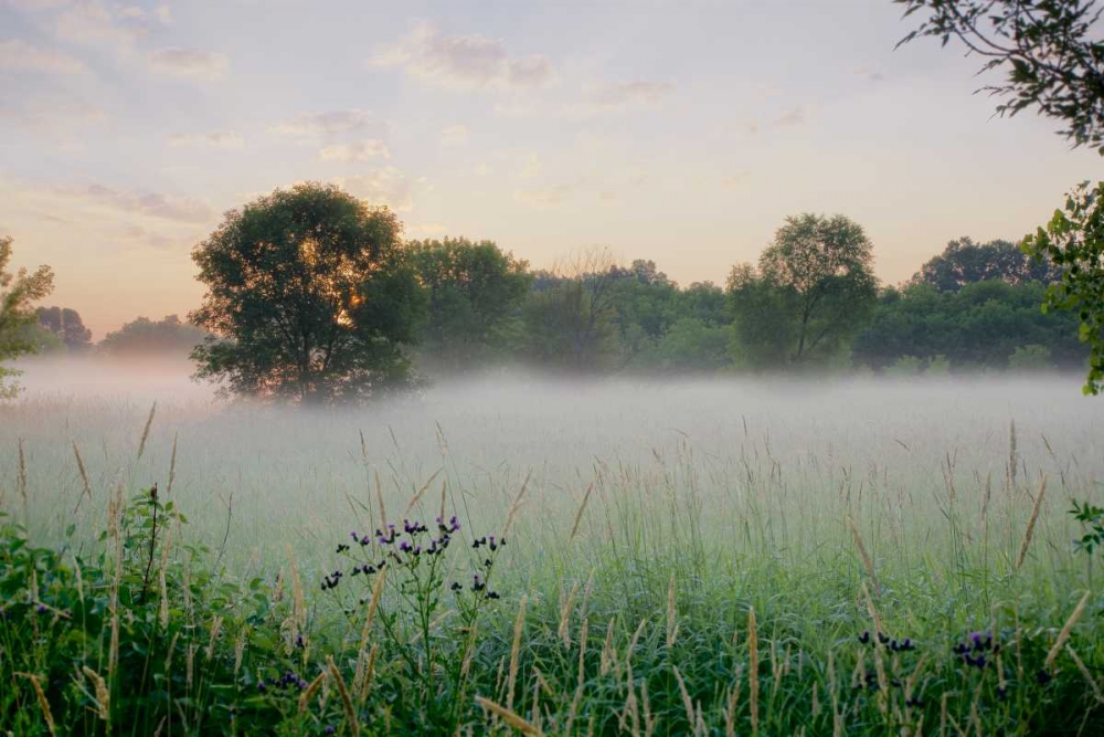 Western Plains Sunrise art print by Alan Blaustein for $57.95 CAD