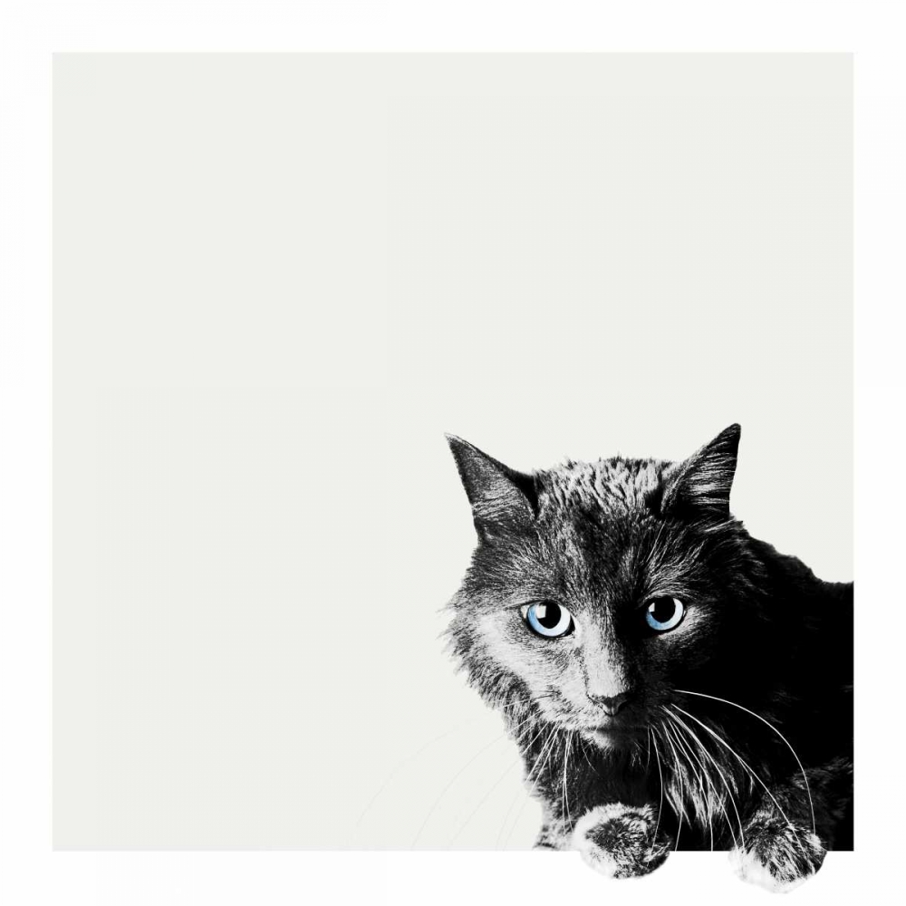 Inquisitive art print by Jon Bertelli for $57.95 CAD