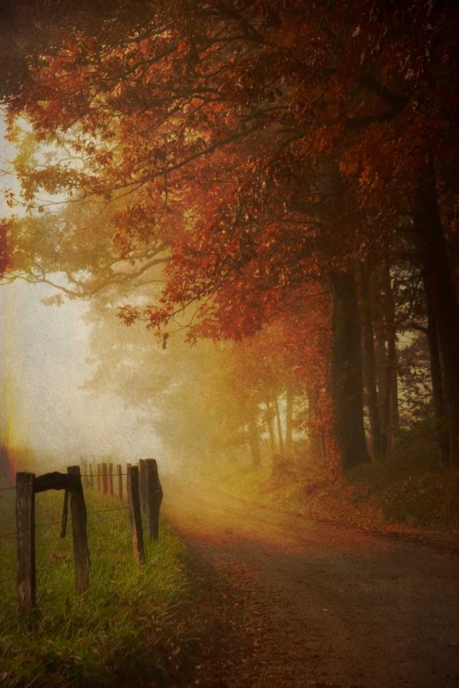 Come to the Light art print by Daniel Burt for $57.95 CAD