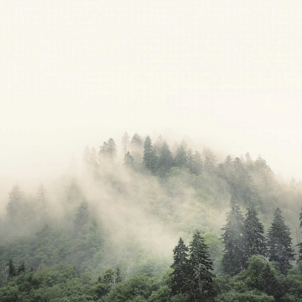 Smoky Mountains art print by Nicholas Bell for $57.95 CAD