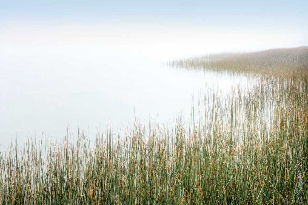 Crescent Beach Calm 3 art print by Alan Blaustein for $57.95 CAD